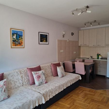Studio Apartman Zvezdana Noc Vrnjacka Banja Ngoại thất bức ảnh