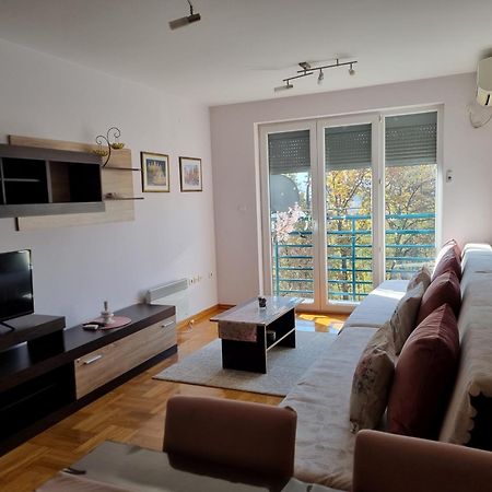Studio Apartman Zvezdana Noc Vrnjacka Banja Ngoại thất bức ảnh