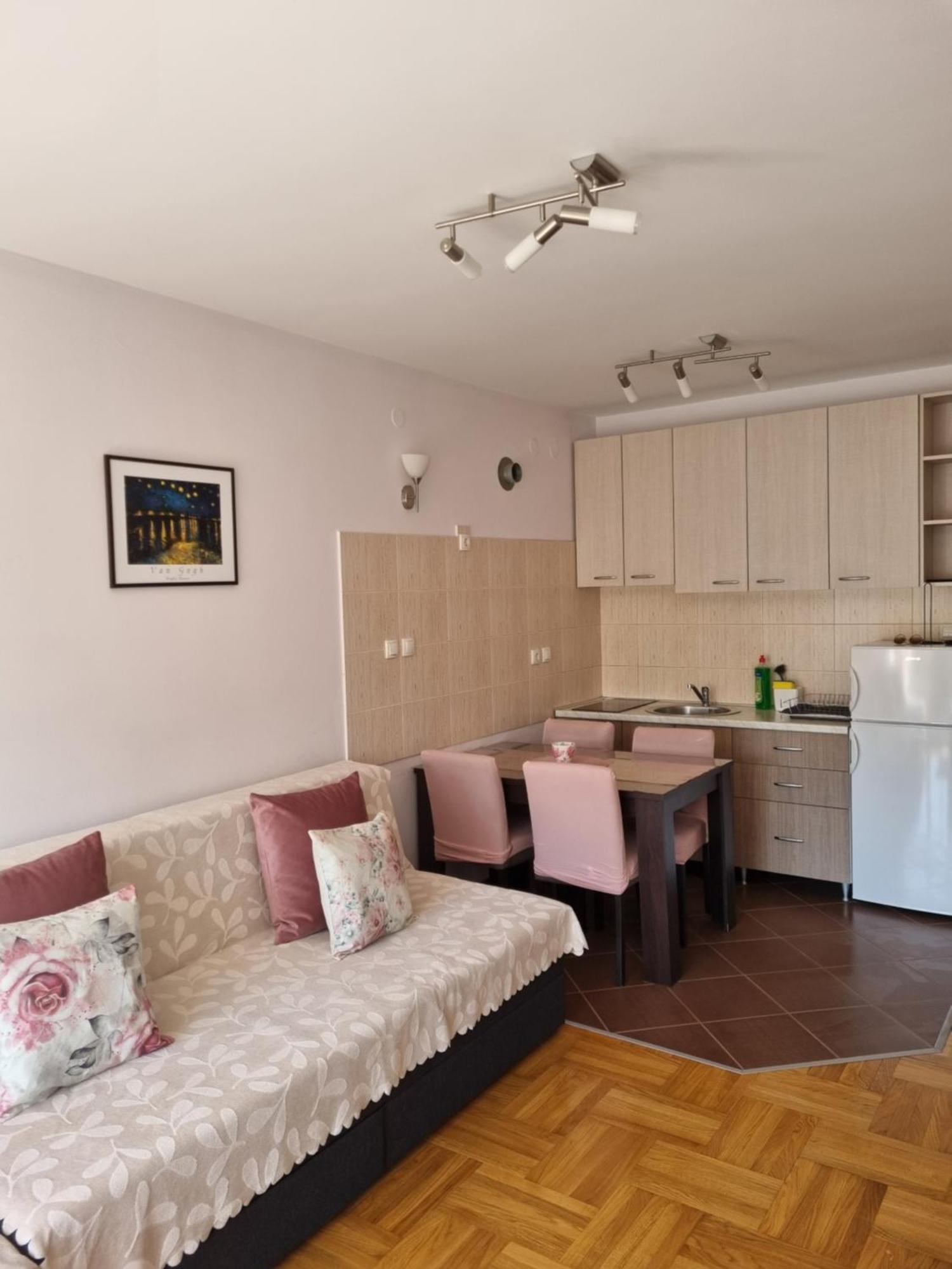 Studio Apartman Zvezdana Noc Vrnjacka Banja Ngoại thất bức ảnh